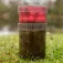Avid carp L Köderbox
