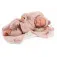 Antonio Juan Boneca Luna Newborn