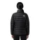 The north face Classic down jacket