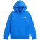 The north face Evolution Box kapuzenpullover