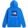 The north face Evolution Box kapuzenpullover
