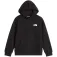 The north face Moletom com capuz Evolution Box