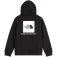 The north face Moletom com capuz Evolution Box