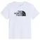 The north face Evolution Half Dome 반팔 티셔츠