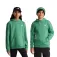 The north face Moletom com capuz Evolution Simple Dome