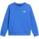 The north face Dessuadora Evolution Simple Dome