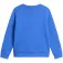 The north face Evolution Simple Dome 스웨트셔츠