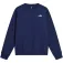 The north face Moletom Evolution Simple Dome