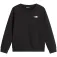 The north face Evolution Simple Dome Bluza