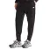The north face Performance Fleece pants