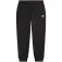 The north face Performance Fleece pants