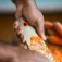 Fiskars Râpe FunctionalForm Coarse Grater