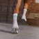 Pacific socks Fast legs sukat