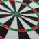 Martes Dartquest Dartscheibe