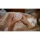Philips avent Double Wireless Breast Pump
