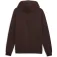 Puma Class Graphic kapuzenpullover