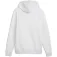 Puma Class Graphic kapuzenpullover