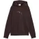 Puma Essential Sequins Standard kapuzenpullover