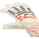 Puma Future Play NC Torwarthandschuhe