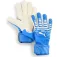 Puma Future Match NC Torwarthandschuhe