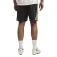 Puma Short IndividualFinal