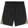 Puma Short IndividualFinal