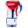 Everlast Powerlock og advanced Boxhandschuhe