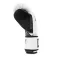 Everlast Powerlock og advanced Boxhandschuhe