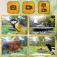 Easypix Caméra d´Oiseau Plein Format