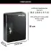 Master lock Cassaforte portatile KB-50ML