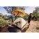 Coleman Darwin Summer 3 Plus namiot