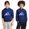 adidas Moletom com capuz Essentials