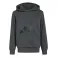 adidas Essentials Hettegenser
