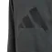adidas Essentials Hettegenser