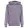 adidas Essentials Hettegenser