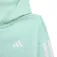 adidas Essentials Jogger set