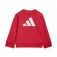 adidas Essentials Joggers set