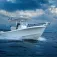 Minn kota Riptide Terrova 80/WR 72´´ Engine