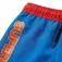 Dc comics Superman simshorts