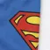 Dc comics Superman simshorts