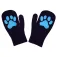 Icepeak Homberg 장갑