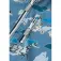 Reima Giacca softshell Moomin Vantti