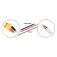 Absima Cable de carga XT60 a Tamiya 150mm