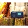 Bea Radio portatile Btec-Rds670