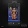 Hasbro Colonel Ward figuur