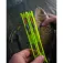 Matrix fishing Carbon Steady Pole float