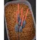 Matrix fishing Carbon Steady Pole 찌