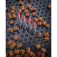 Matrix fishing Carp Shallow Carbon Pole float