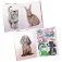 Topmodel Libro 413736 Sticker