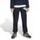 adidas Terrex Multi Softshell pants